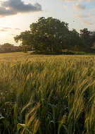 2026-03-05/e77b5ca2-a2bd-4072-a48f-fe29793ebd58