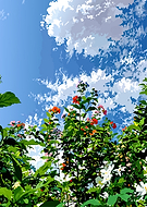 2026-03-06/81f7b6bc-a060-4757-9147-d88250ebb009