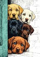 2026-03-06/bdce85b9-c54a-48d4-9f8a-d28647167bbe