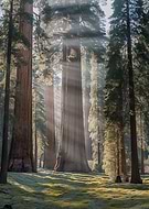 2026-03-06/d01316e2-1c3c-47fc-838c-8f51cc52b7ec