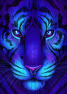 2026-03-07/14b7437e-1d77-4651-a621-78f01299a6df