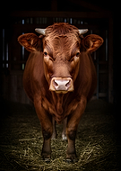 2026-03-07/64a11e3f-a229-4377-ac95-a3ea5e63519c