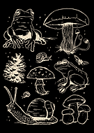 2026-03-07/805cb108-562e-48b4-a822-1772de5f589d