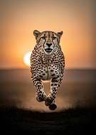 2026-03-08/277b220d-9119-4e8f-8867-eaf35bcb3d13