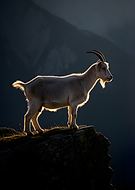 2026-03-08/90f3f8ee-09a0-42c6-b89d-5acdca845acd