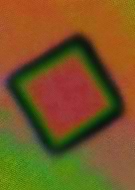 2026-03-09/0c0a1c7a-4084-436f-9e4d-582637b7d6af