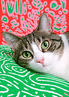 2026-03-09/837c1fca-ca21-4bb9-9b11-a714c98711f1