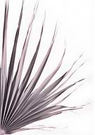 2026-03-09/a61af8be-48b7-4cdf-9c09-93a45d785040