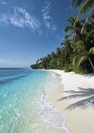 2026-03-10/21420664-5350-4bb6-82f5-e67edc32ef62