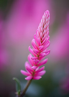 2026-03-10/775c5693-8706-476a-bed7-d569c0c58d0f