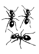 2026-03-10/878e567d-ef24-4c18-a790-3ba8330b1787