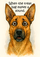 2026-03-10/c239c8d4-f9f3-4de6-a8c2-363a542fa399