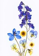 2026-03-11/171cb49e-e7c1-4d51-85c9-2501983ea3a5