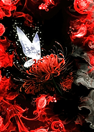 2026-03-11/31cd43c3-a088-4cb6-b2d5-91abda326a21