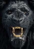 2026-03-11/3da7af84-bd01-4cb7-a675-f2dee7a905b9