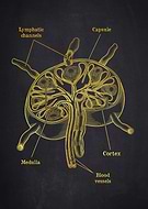 2026-03-11/4a0cf5d9-1e7f-4b0f-bcfd-aba7c4aaab48