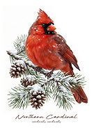 2026-03-11/67d2a75c-ecff-4a44-85ef-bd91b578133d