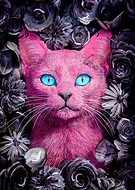 2026-03-11/6f3b12ca-c11e-4521-83d3-e03bde0982f3