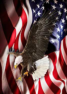 2026-03-11/9a5bc955-49a3-471b-b888-b9498f9708b7