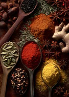 2026-03-11/e3abce8f-7a7d-47ec-acea-b0f3f8bc1af5