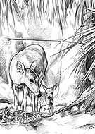 2026-03-11/fb79fa4a-b73c-46b9-92cc-634fc7f11fd4