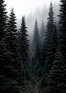 2026-03-12/00202e80-6602-4c8c-8e9b-3955f5665773