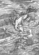 2026-03-12/9ee842f0-8057-4db2-af05-0228dcc9053d