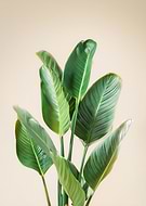 2026-03-12/a25072db-3944-4edb-83a2-0ceb12ad0db1