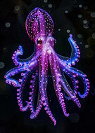 2026-03-12/b1ecf2d5-15d0-477d-ae4c-d82ec0a3bc50