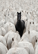 2026-03-13/28d69f17-f959-4099-9ba8-8f8e252c55ed