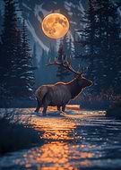 2026-03-13/36336500-be64-469c-ac3a-3eab058e09df