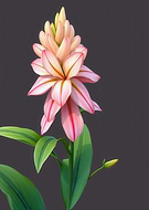 2026-03-13/61186417-8b0c-414d-aba2-1a0de98b6dd3