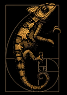 2026-03-13/869e3749-c6fc-4fed-b254-94aac8c84a65