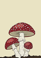 2026-03-13/cd05b035-ced2-47db-95c0-62cf71643cae