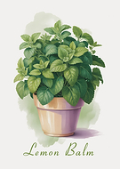 2026-03-13/f1e67c5a-0a47-4384-897f-38dce56334c0