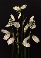 2026-03-14/2cf83353-d928-4e40-81e9-76b57e4fc491