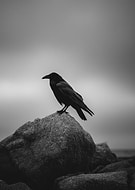 2026-03-14/c71885ac-075c-4344-b9ea-ddfb86de0a3c