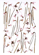 2026-03-15/09146ce3-ce13-406b-b7c9-4afbe8c6c4b5