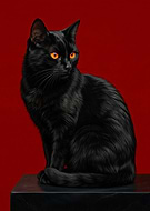 2026-03-15/5a8c0566-aed7-42ea-8540-354253e5560e