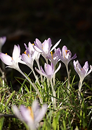 2026-03-15/6cec610d-62ab-45c2-87ec-c6f58459044c