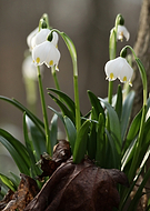 2026-03-15/dd639bc6-e79e-4a57-8c50-1a2cd8c247a4