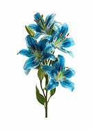 2026-03-16/3fe478ff-de1f-49ae-8043-a0a99801555a