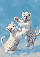 2026-03-16/cd57b34a-657b-43db-a604-a153f8f003bc