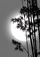 2026-03-16/cd5a929e-cf35-4c2c-9ef6-9d1e33f289df