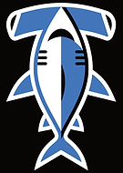 2026-03-16/d48c058c-5bd0-4b5f-8ff4-12f7cbb23096