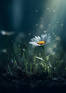 2026-03-17/13323e46-d32f-4381-9eb8-db84956d2209