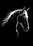 2026-03-17/4376c01d-ed85-4694-bfa9-ece2df734798