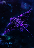 2026-03-17/4ec2610f-93a4-4998-82aa-492b74860551