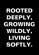 2026-03-17/6427e8a2-2a0b-484c-9b83-3242a7b7fcf6