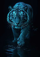 2026-03-17/8b7dd6fe-8adb-48fb-b092-c218a260b591